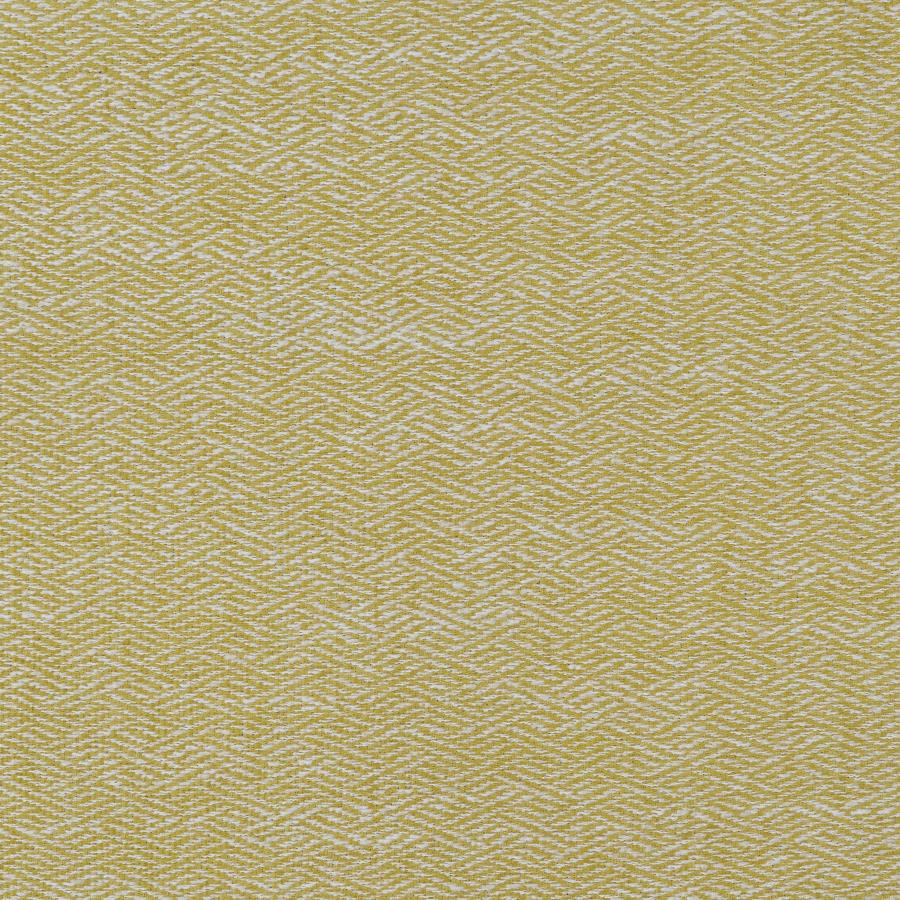 Dario Fabric Accent Chair in 2 Color Options