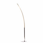 Modern Chrome LED Floor Lamp
