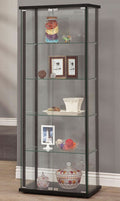 Tall Glass Curio with Black Frame