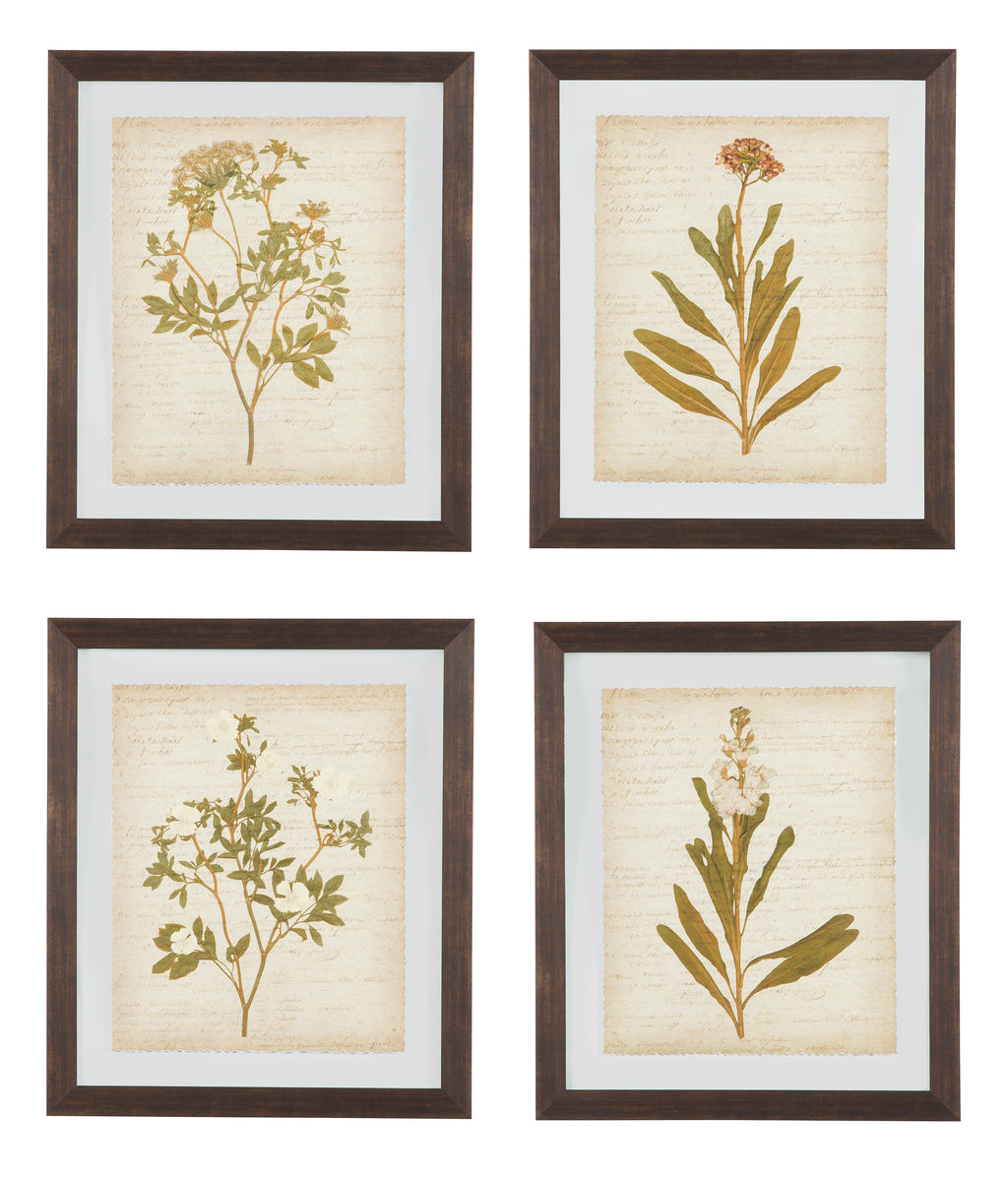 Glass Botanical Design 4 Piece Wall Art Set