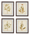Glass Botanical Design 4 Piece Wall Art Set