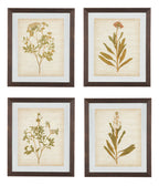 Glass Botanical Design 4 Piece Wall Art Set