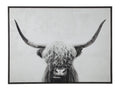 Highland Cow Canvas Wall Art